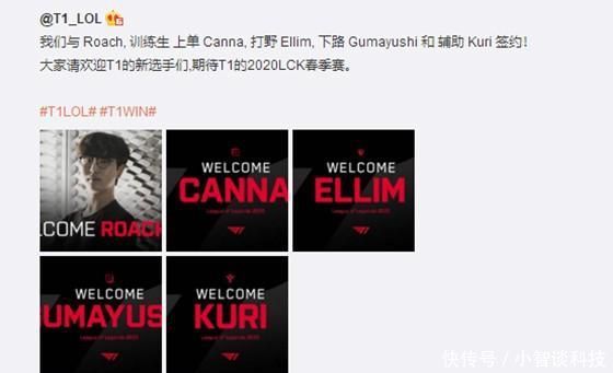 仅体现了青 仅体现了青